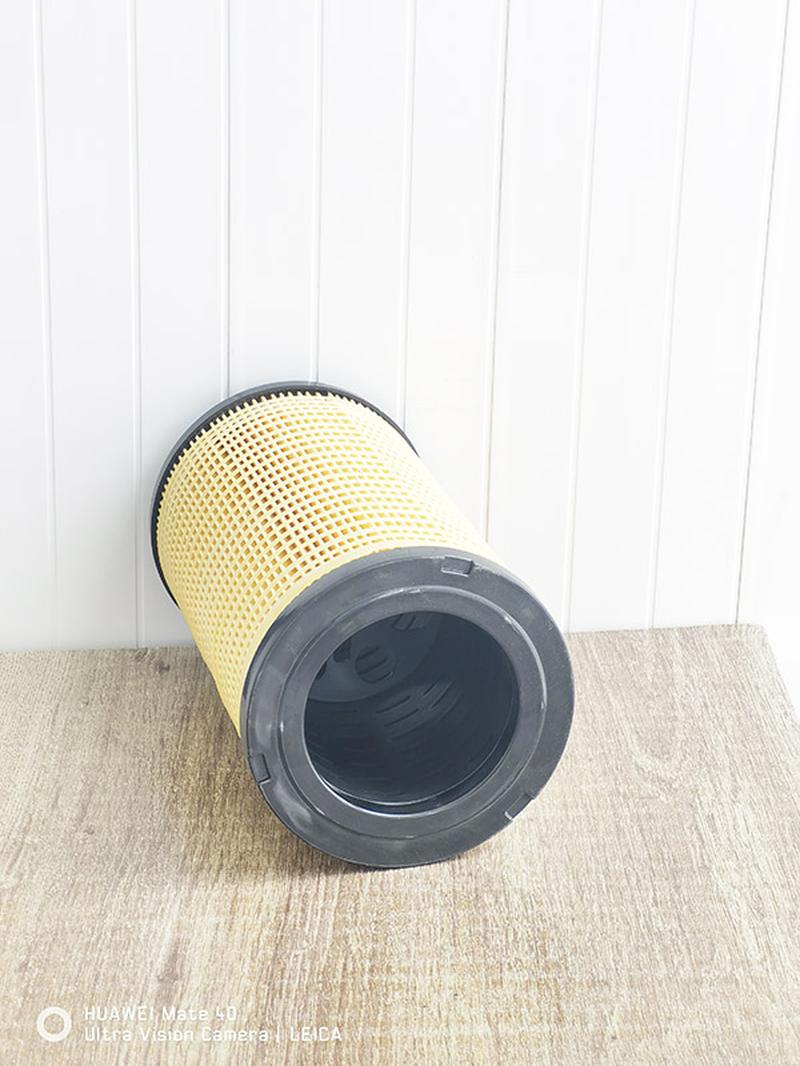 renualt_fuel-filter_5010477855